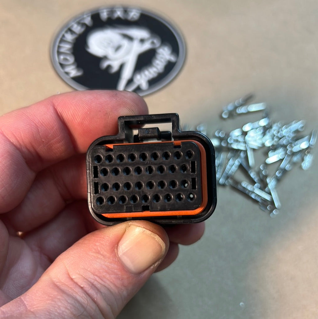34 Pin, Holley J1A
